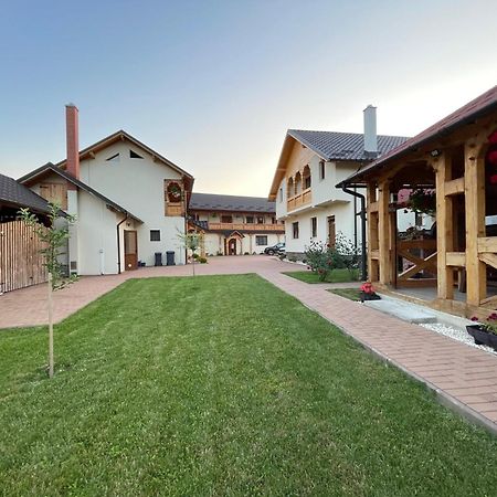 Pensiunea Valea Muntelui Bîrsana Exteriér fotografie